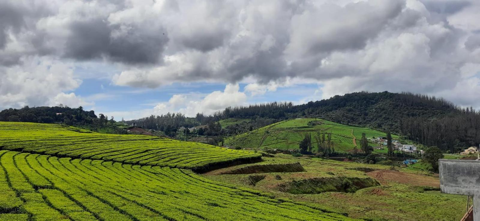 Bed and Breakfast Rose Garden Enclave For Families & Executives Ooty Exteriér fotografie